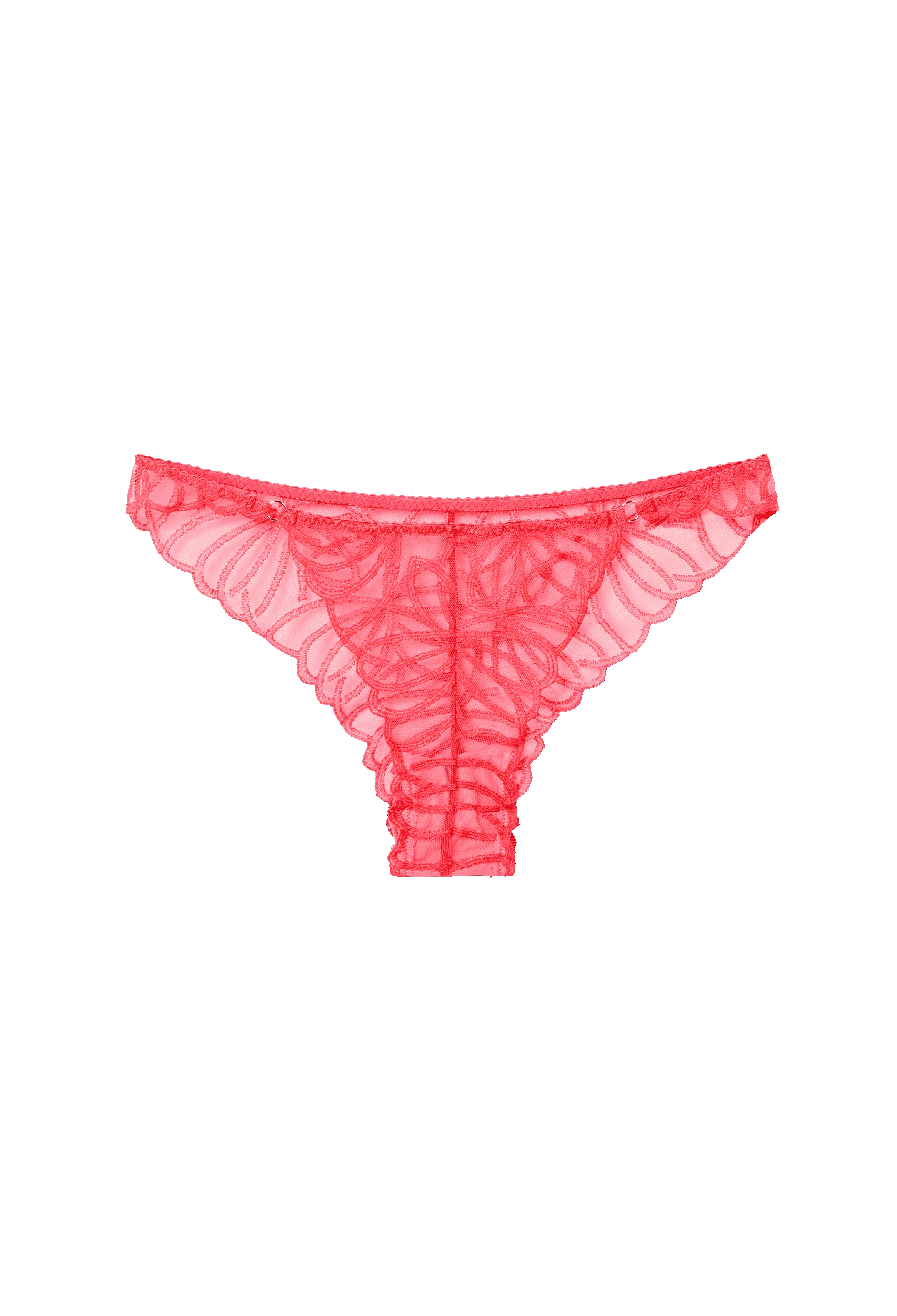 Antonella Brief - Image 3